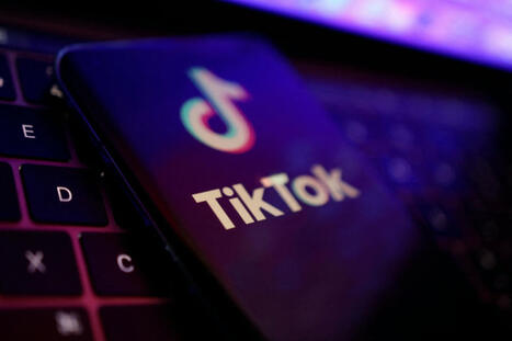 TikTok : Comment l'application révolutionne les tendances et le marketing des marques | L'actualité du digital | Scoop.it