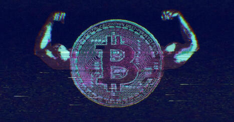 The Three Pillars of the Bro-Economy | Avoid Internet Scams and ripoffs | Scoop.it