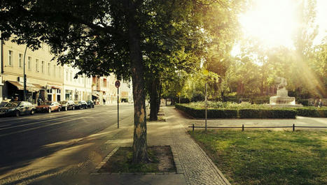 Le réchauffement climatique menace les arbres de nos villes | France Culture | La SELECTION du Web | CAUE des Vosges - www.caue88.com | Scoop.it