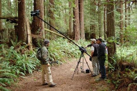 CA: Access Humboldt | Local Voices through Community Media | Schools + Libraries + Museums + STEAM + Digital Media Literacy + Cyber Arts + Connected to Fiber Networks | Scoop.it