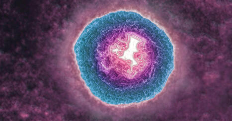 The Shingles Virus May Be Aging You More Quickly | Virus World | Scoop.it