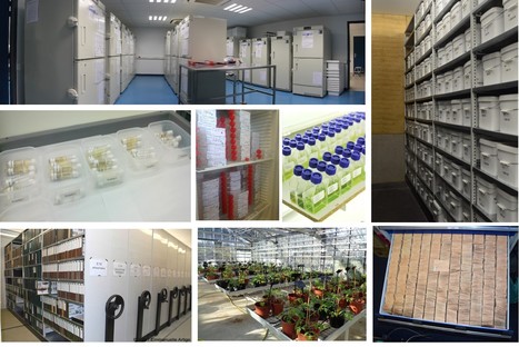 FOCUS PLATEFORME : Les ressources biologiques au service de la recherche en agroécologie ! | Life Sciences Université Paris-Saclay | Scoop.it