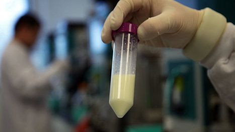 Companies Quietly Apply Biofuel Tools to Household Products | Genetic Engineering in the Press by GEG | Scoop.it