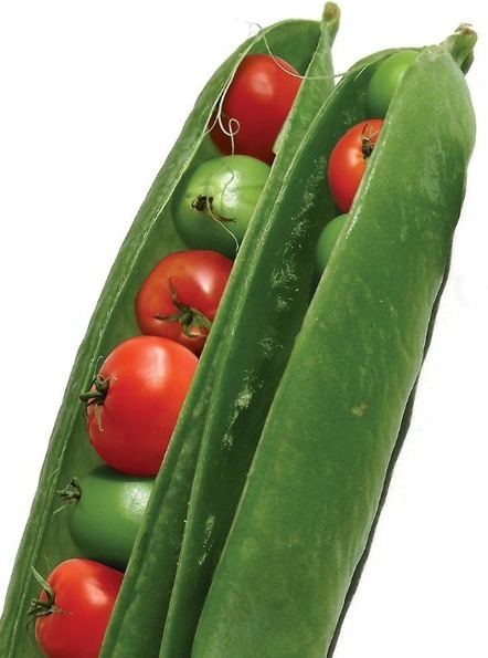 Amazing Fruits And Vegetables Cutting Art Tum