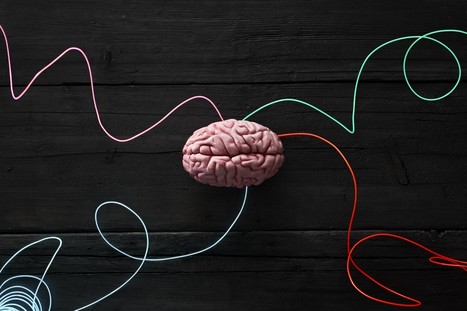 A.I. Ethics Boards Should Be Based on Human Rights | Ethical Leadership and Governance | Scoop.it