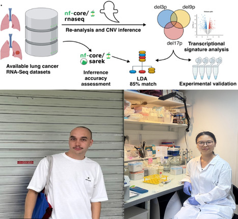 Transformer les donn&eacute;es ARN en informations g&eacute;n&eacute;tiques : une avanc&eacute;e pour la recherche sur le cancer | Life Sciences Universit&eacute; Paris-Saclay | Scoop.it