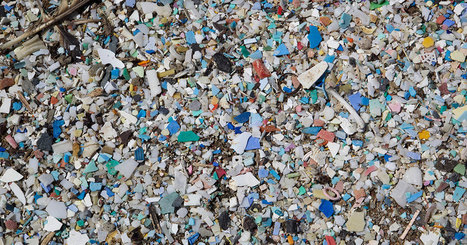 Alerte : le tourbillon de déchets dans le Pacifique est plus grand que tout ce qu’on aurait imaginé | Toxique, soyons vigilant ! | Scoop.it