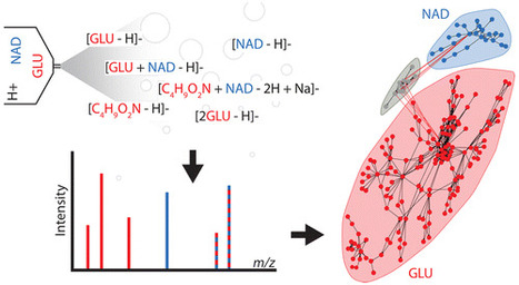 Defining and Detecting Complex Peak Relationships in Mass Spectral Data: The Mz.unity Algorithm | Natural Products Chemistry Breaking News | Scoop.it
