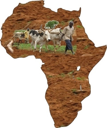 L'agriculture africaine n'a pas encore décollé | Questions de développement ... | Scoop.it