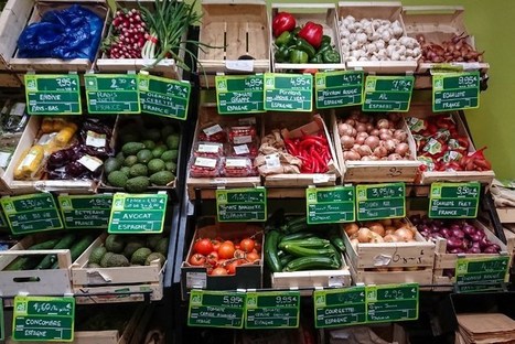 #Santé& #Environnement | Une #alimentation #bio régulière contribuerait à réduire les #risques de #surpoids | GREENEYES | Scoop.it