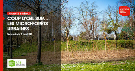 Coup d'œil sur….Les micro-forêts urbaines : un webinaire des écologues de l'ARB et de Plante & Cité | Veille "Villes de demain" | Scoop.it