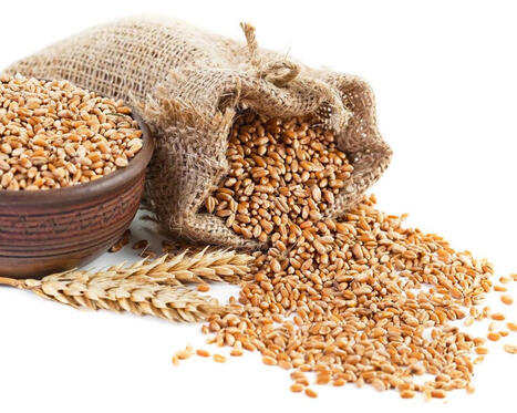 ALGERIA purchases over 800 thsd tons of wheat in tender | MED-Amin network | Scoop.it