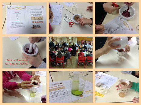 Ci&ecirc;ncia divertida: folhas de outono- BiblioBeiriz | A BRINCAR TAMB&Eacute;M SE APRENDE | Scoop.it