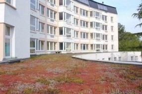 Eco-habitat : les toitures végétalisées vont pouvoir fleurir | Build Green, pour un habitat écologique | Scoop.it