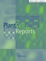 Transient protein expression in tobacco BY-2 plant cell packs using single and multi-cassette replicating vectors | SpringerLink | Plant Molecular Farming | Scoop.it