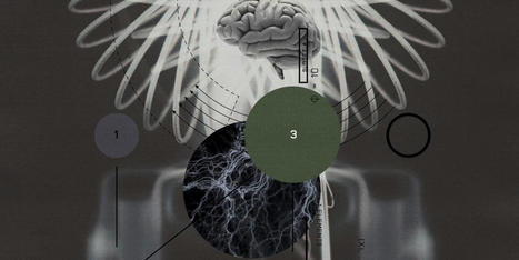The Moral Weight of AI Consciousness | digisapiens v.1.0 | Scoop.it