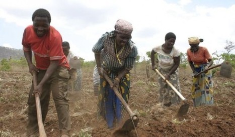 Farmers in Mozambique fear Brazilian-style agriculture | Questions de développement ... | Scoop.it