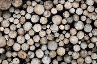 [construction] Quels sont les bois les plus résistants ? | Build Green, pour un habitat écologique | Scoop.it