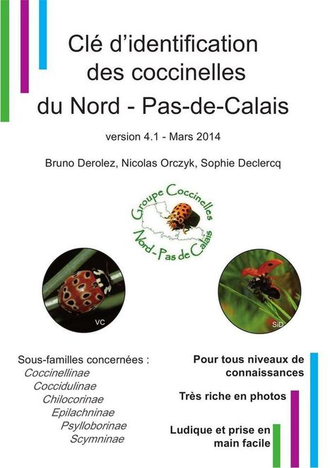 Clé d'identification des coccinelles du Nord - Pas-de-Calais - Archives de Picardie Nature | Insect Archive | Scoop.it