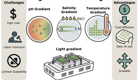 Low-Cost Screening of Algae for Extreme Tolerance to pH, Temperature, Salinity, and Light | Brvt | RMH | Scoop.it