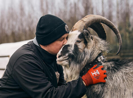 Somevuohi Sepon is&auml;nt&auml; Joni tutkii ty&ouml;kseen hirveit&auml; rikoksia | 1Uutiset - Lukemisen t&auml;hden | Scoop.it