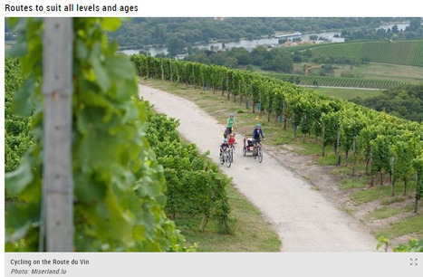 Cycle Luxembourg's picturesque Route du Vin | #Tourism #Europe | Luxembourg (Europe) | Scoop.it