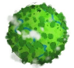 Cours en ligne : MOOC Biodiversit&eacute; | Vari&eacute;t&eacute;s entomologiques | Scoop.it