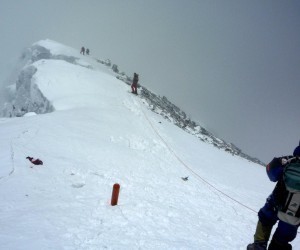 Build it and they won’t come: How and why growth hacking came to be | Growth Hacking | Scoop.it