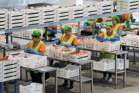Agriculture : « La mondialisation ne nourrit pas le monde, elle le brûle » - La Croix | Agriculture et Alimentation Durable Méditerranéenne | Scoop.it