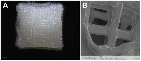 Researchers Say They Can Use Stem Cells in 3D Printed Scaffolds to Repair Your Joints | qrcodes et R.A. | Scoop.it