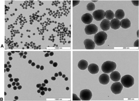 Silica Nanoparticles for Gene Therapy | iBB | Scoop.it