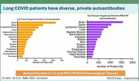 #pwme #myalgice #millionsmissing #severeme #mecfsconf2026 | Anil van der Zee | AUTOIMMUNITY | Scoop.it