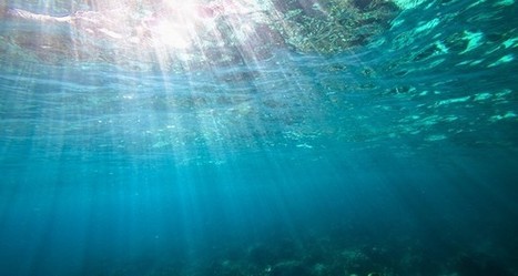 Un nouveau traité international pour protéger la haute mer | HALIEUTIQUE MER ET LITTORAL | Scoop.it