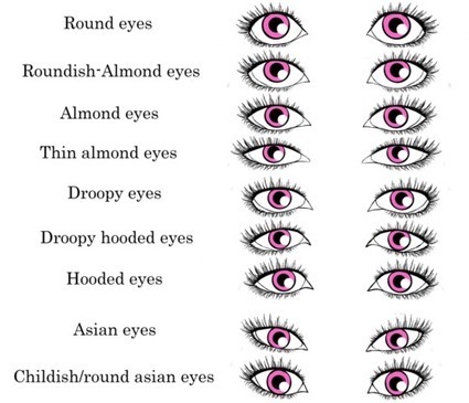 Eye Shape Drawing Reference | Drawing References and Resources | Scoop.it
