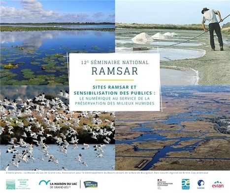 « Sites Ramsar et sensibilisation des publics : le numérique au service de la préservation des milieux humides. » 12eme Séminaire des acteurs de sites Ramsar | Biodiversité | Scoop.it