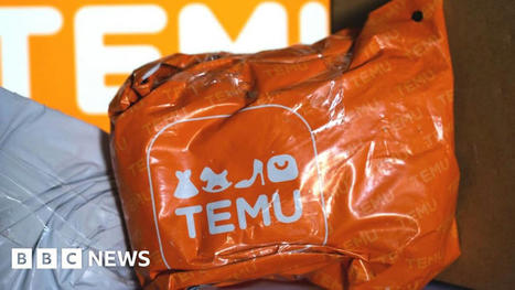 How Temu is shaking up the world of online shopping | tdollar | Scoop.it