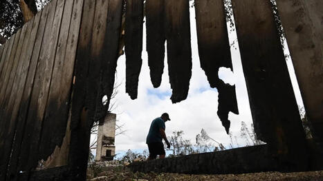 Long After the Maui Fires, Toxic Metals Linger in Residents&rsquo; Bodies | by&nbsp;Joseph Lee | TheIntercept.com | @The Convergence of ICT, the Environment, Climate Change, EV and HEV Transportation & Distributed Renewable Energy | Scoop.it
