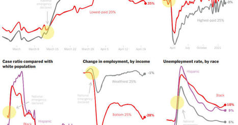 A Lesson Plan for Learning With Our Collection of Inequality Graphs - The New York Times | Global Sustainable Development Goals in Education | Scoop.it