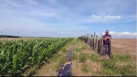 Témoignage de Marc Lefebvre sur l'agroforesterie | CIHEAM Press Review | Scoop.it