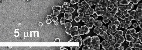 Researchers Grow Biological Hard Drive Surface From Bacteria | Amazing Science | Scoop.it