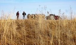 Young midwestern farmers want to grow sustainable food – but they need help | L'ECHO DEMETER | Scoop.it