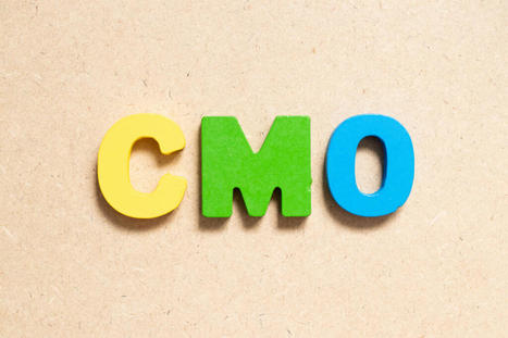 Landing a Role in the C-Suite: A CMO's Best Advice | OnMarketing: Marketing Tips for Growth | Scoop.it