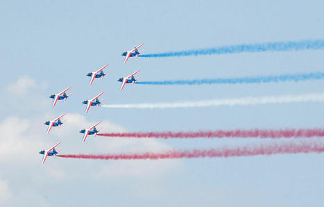 Bretagne : La Patrouille de France contrainte de décaler sa venue pour protéger les oiseaux | Biodiversité - @ZEHUB on Twitter | Scoop.it