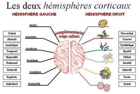 Apprendre à apprendre avec les cartes mentales | L'eVeille | Scoop.it