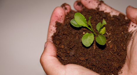 The Law of Sustainable Growth | Growth Hacking | Scoop.it