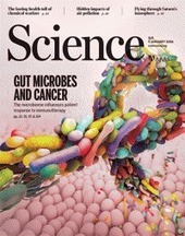 New connections: Stimulating immune memory against cancer | Temas varios sobre Microbiología clínica | Scoop.it