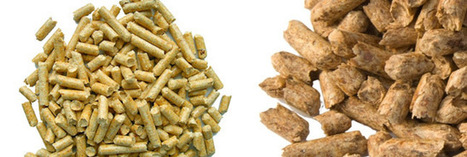 Ces substances que nous cachent ... pellets et granul&eacute;s de bois | News from the world - nouvelles du monde | Scoop.it