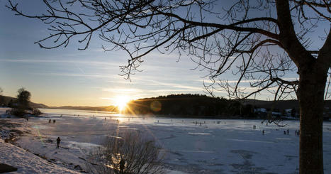 A la vall&eacute;e de Joux, le loup se transforme en attraction touristique | Enjeux du Tourisme de Montagne | Scoop.it