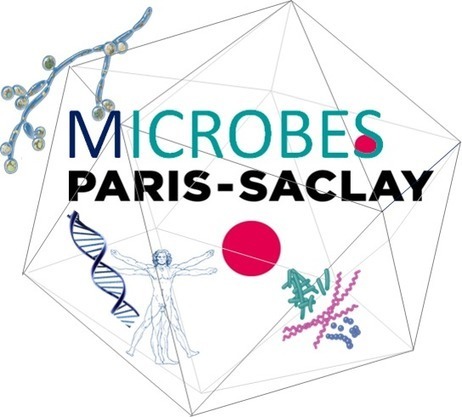 Paris-Saclay MICROBES day - 27 mars 2019 à Gif-sur-Yvette | Life Sciences Université Paris-Saclay | Scoop.it