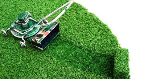 Pour qui sonne le poil | Slate | Ressources FLE | Scoop.it